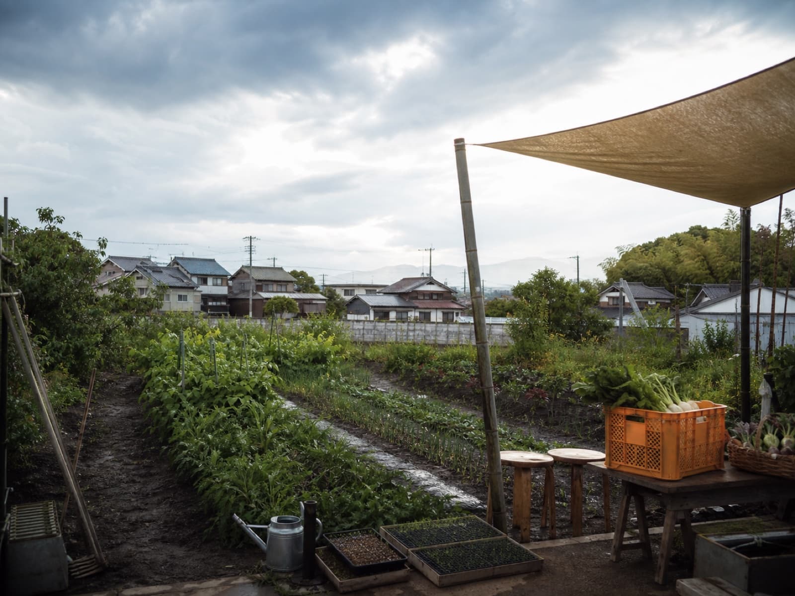 余白の農園の世界観を表すサムネイル